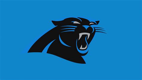 Carolina Panthers (7) 